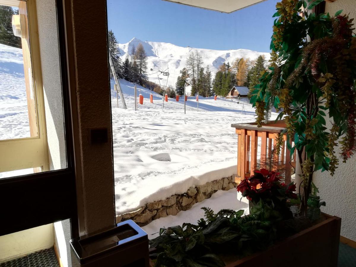 Studio 1 Piece Plagne Village 4 Personnes 2050 M Pied Des Pistes ラ・プラーニュ エクステリア 写真